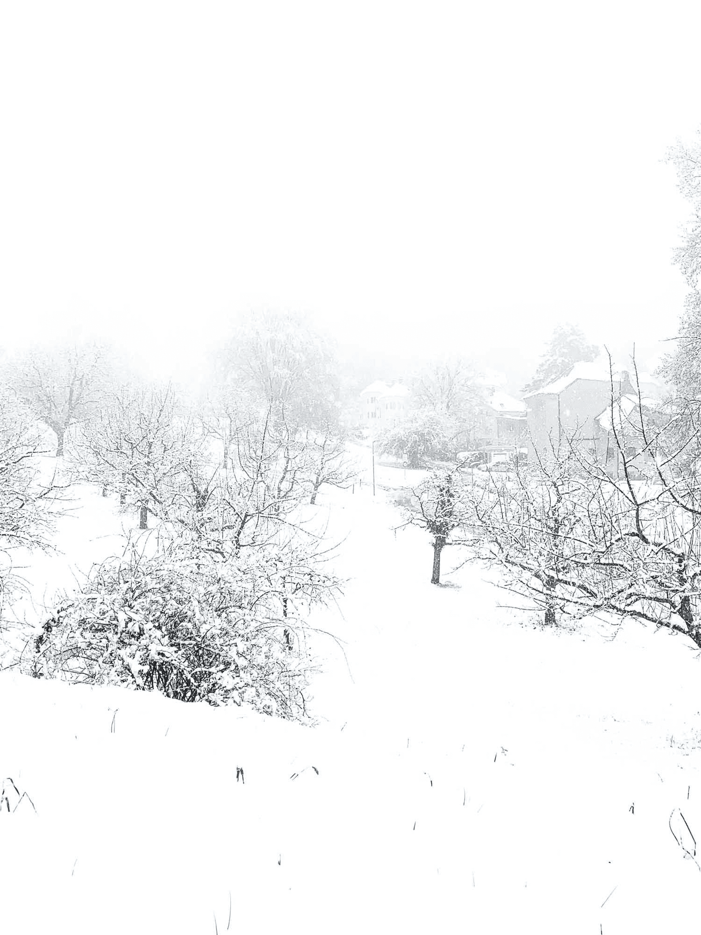 Goetheanum Garten Schnee